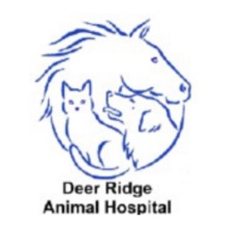 Deer Ridge Animal Hospital