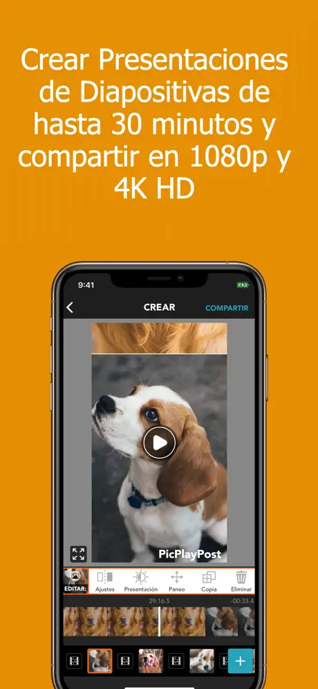 PicPlayPost - Video Editor