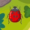 LadybugFun icon