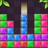 Zen Merge Block Puzzle Premium icon