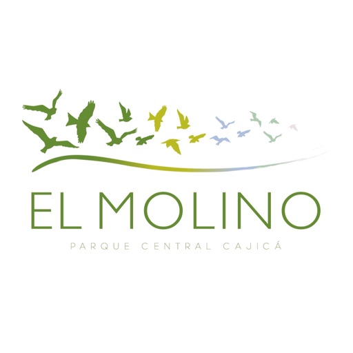 El Molino Parque Central