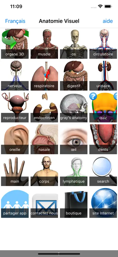 Visual Anatomy