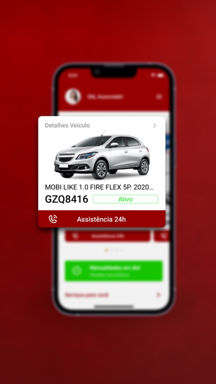 Probem Proteção Veicular