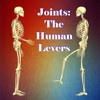Joints: The Human Levers icon