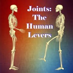 Download Joints: The Human Levers app