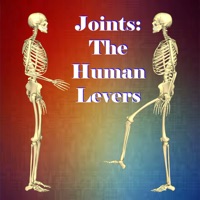 Joints logo