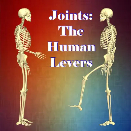 Joints: The Human Levers Cheats