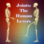 Joints: The Human Levers app download