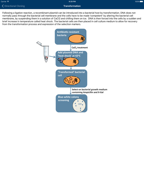 Screenshot #6 pour UofG Molecular Methods