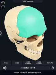 my skull anatomy ipad resimleri 2