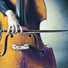 Contrabass by Ear