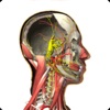 人体3D解剖 icon