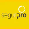 Segurpro Access App Delete