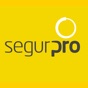 Segurpro Access app download