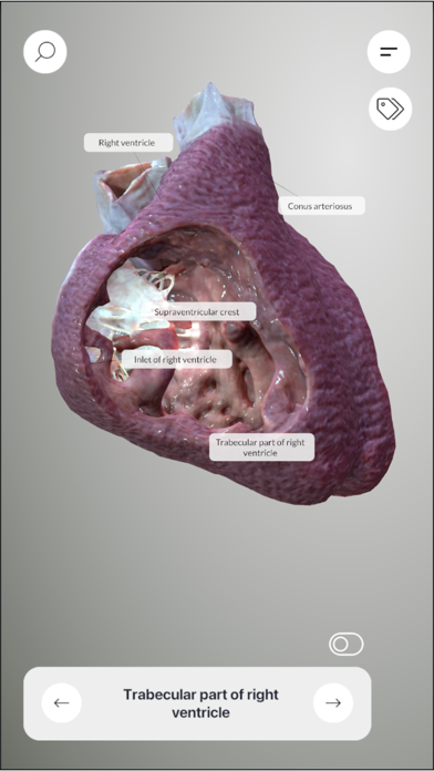 3D Heart Anatomyのおすすめ画像8