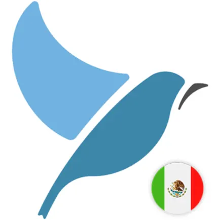 Bluebird: Mexican Spanish Cheats