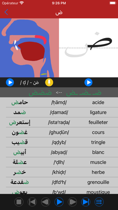Screenshot #2 pour Voix Arabe