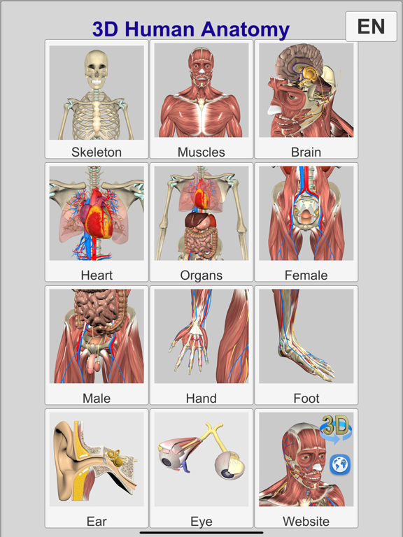 3D Anatomyのおすすめ画像8