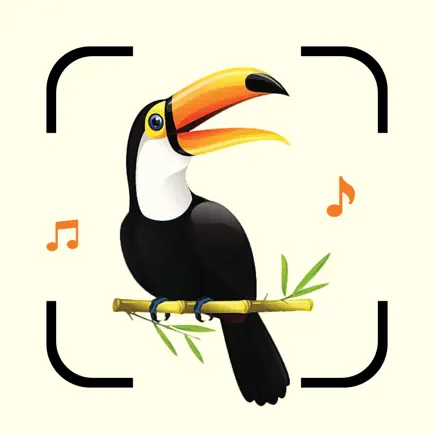 Bird Song Identifier Sounds ID Cheats