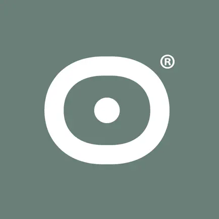 Solid Studio Читы