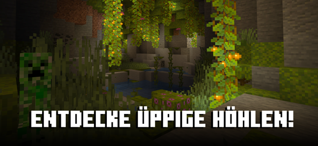?Minecraft Screenshot