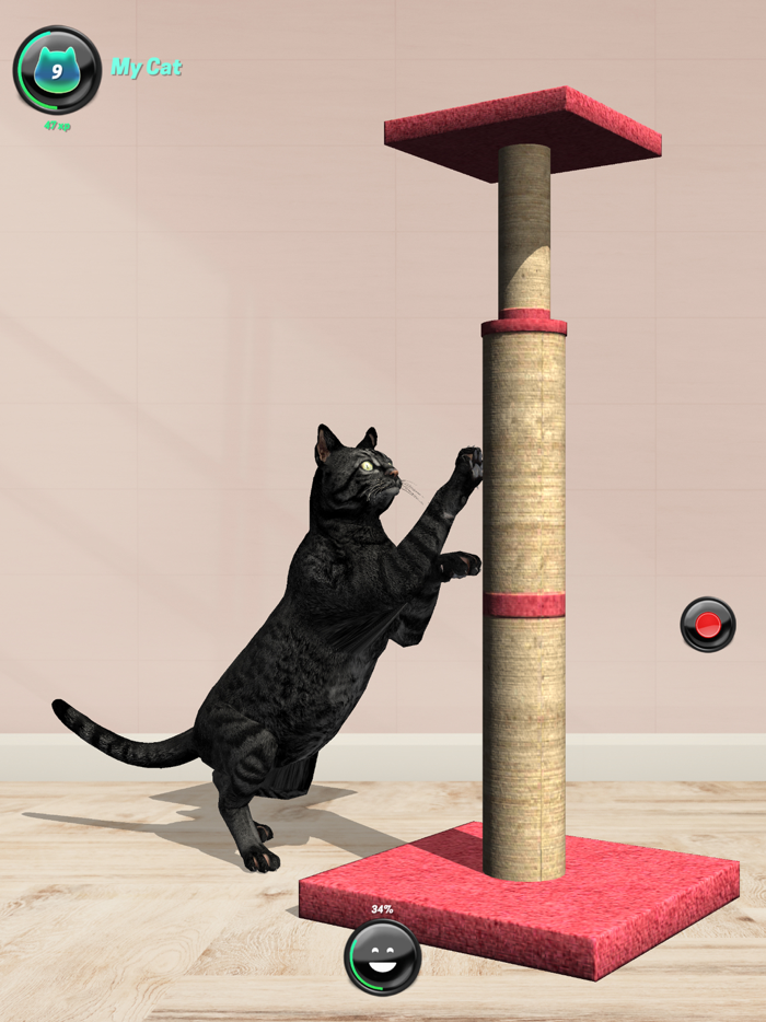 My Cat AR Real Cat Simulator