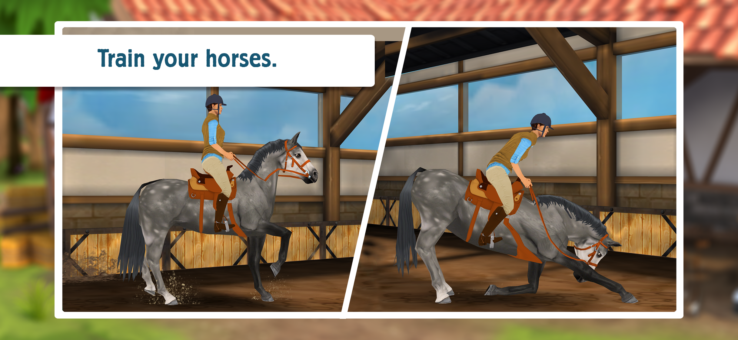 HorseHotel Premium