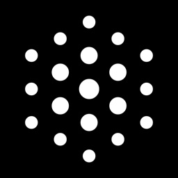 C-T Bot