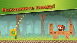 Game screenshot Рыжая панда Pit mod apk