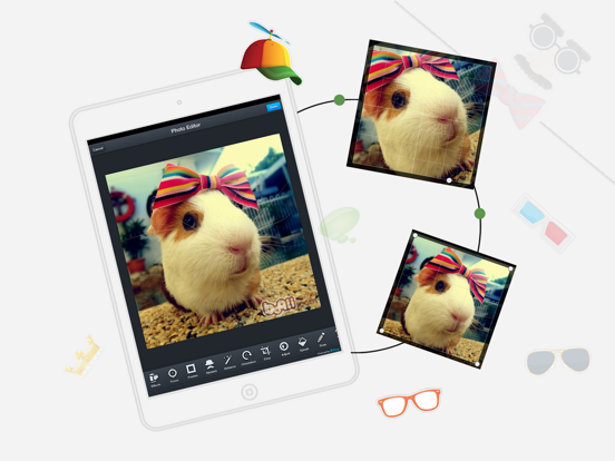 Pic-Artist Collage iPad screenshot 5 - Utilities app