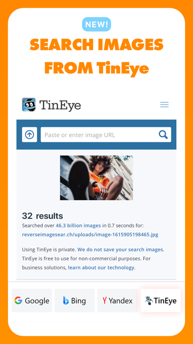 Reverse - Image Search Screenshot