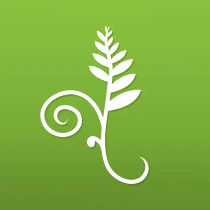 Koru Mindfulness Читы