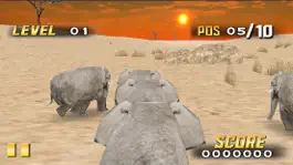 Game screenshot Savanna Race mod apk