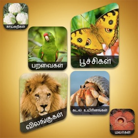 螢幕擷取畫面 (10) Theriyuma learn GK in Tamil