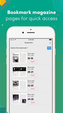 Game screenshot Black Belt (Magazine) hack
