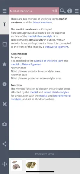 Game screenshot Primal's 3D Knee hack