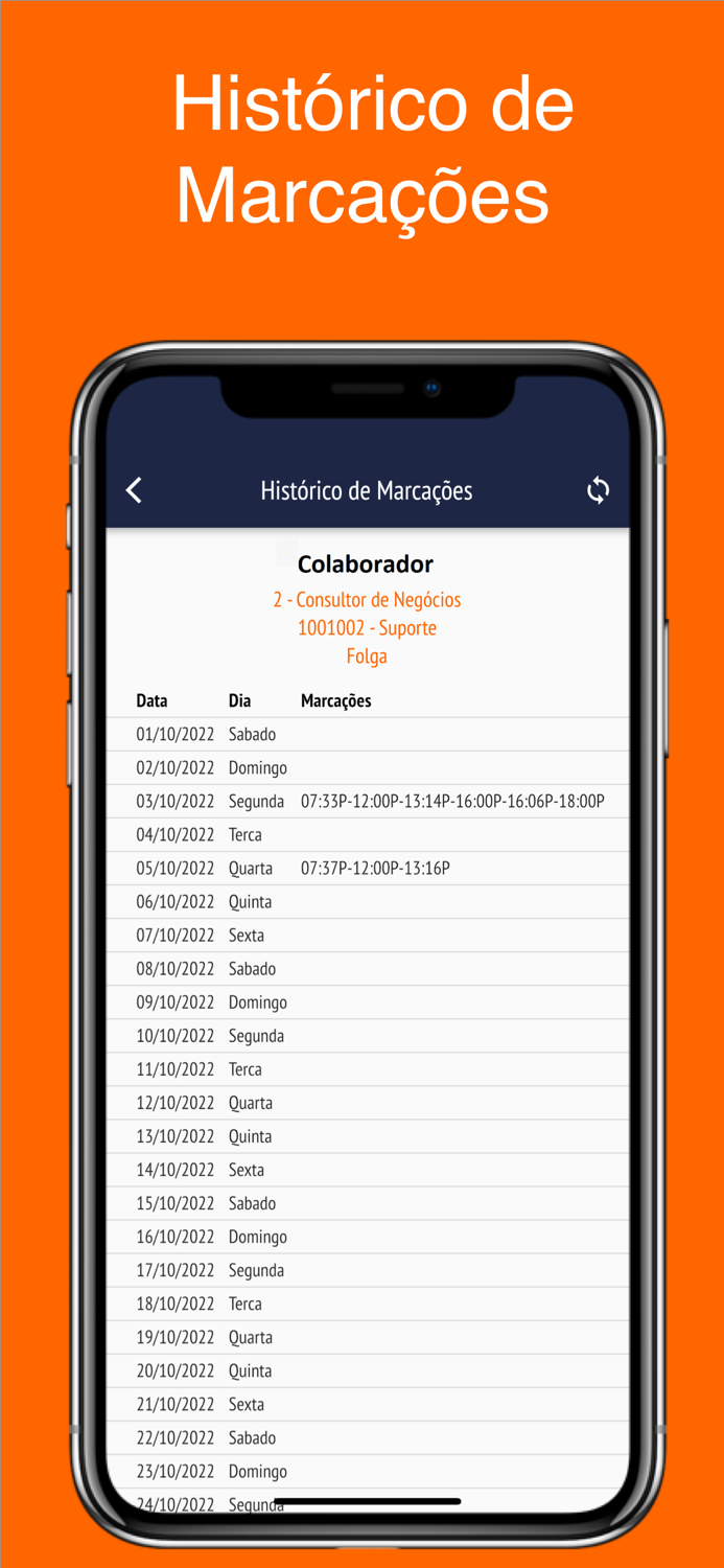 Ponto Colaborador CGI