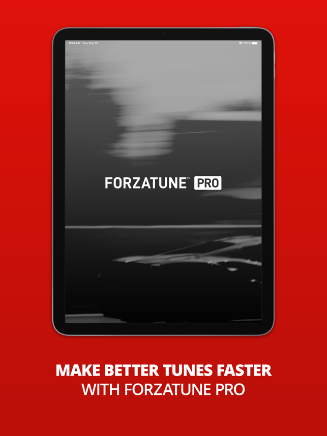 Captura de pantalla de ForzaTune Pro