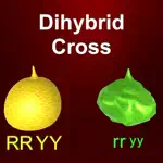 Dihybrid cross App Cancel