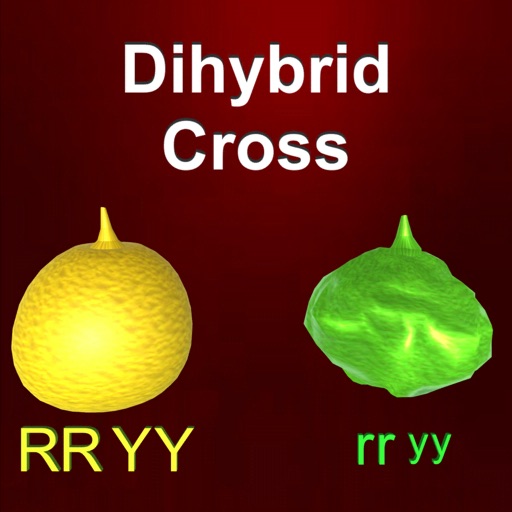 Dihybrid cross icon