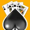 Spades Solitaire Classic Plus contact information