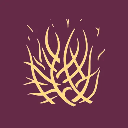 CBT Synagogue Читы