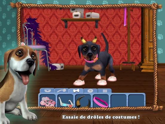 Screenshot #6 pour DogWorld - Mon chiot