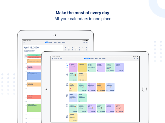 Tiny Calendar Pro iPad app afbeelding 1