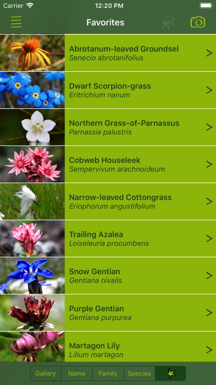 AlpineFlower Finder – Europe