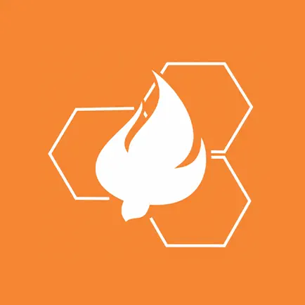 IBNC.ONLINE Читы