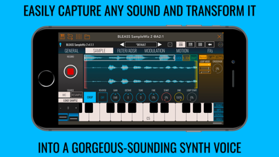 BLEASS SampleWiz 2のおすすめ画像2