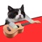 Icon Cat Instruments