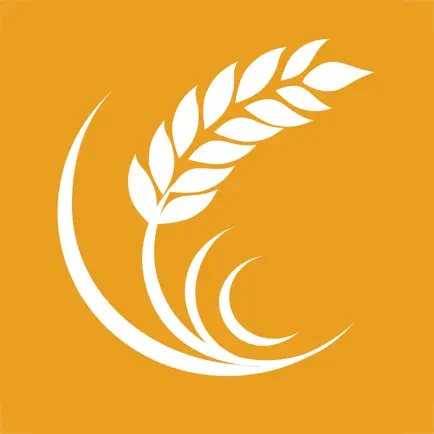 My Carbs Читы