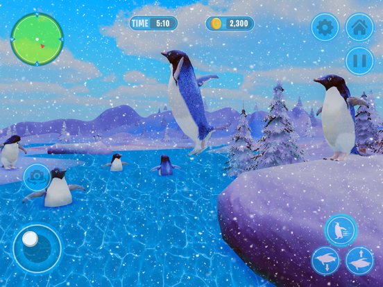 Screenshot #5 pour Pingouin Simulator Arctic Bird